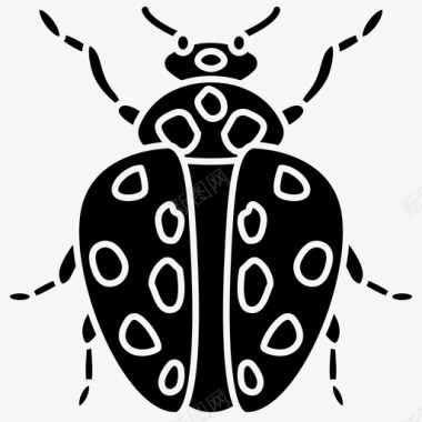 瓢虫昆虫木虱图标