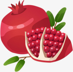 石榴pomegranate素材