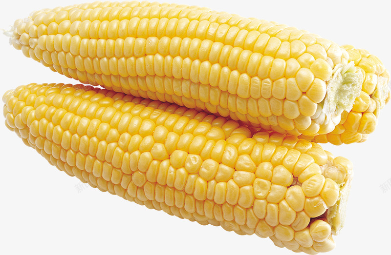 玉米玉米剥玉米蔬菜食物美食透明png免抠素材_新图网 https://ixintu.com 玉米 美食 蔬菜 透明 食物