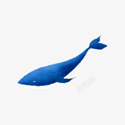 深蓝色小鲸鱼素材