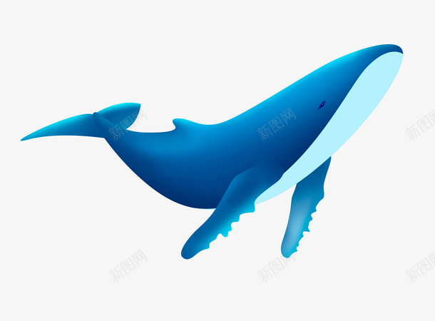 你是一只漂亮的鲸鱼png免抠素材_新图网 https://ixintu.com 鲸鱼 彩色 漂亮的鲸鱼 png