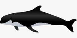 黑色漂亮的鲸鱼素材