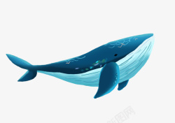 一只蓝色漂亮的鲸鱼素材