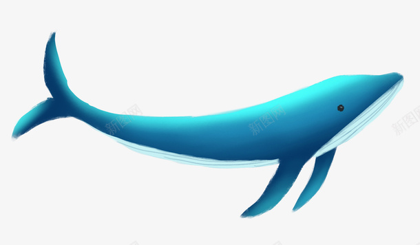 非常漂亮的鲸鱼png免抠素材_新图网 https://ixintu.com 鲸鱼 彩色 漂亮的鲸鱼 png