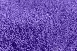 密密麻麻的海植物紫色花海植物背景高清图片