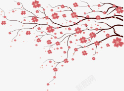 桃花花朵立春节气元素素材