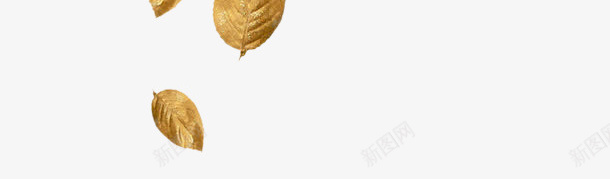 金色金箔树叶装饰png免抠素材_新图网 https://ixintu.com 金色 金箔 树叶 装饰