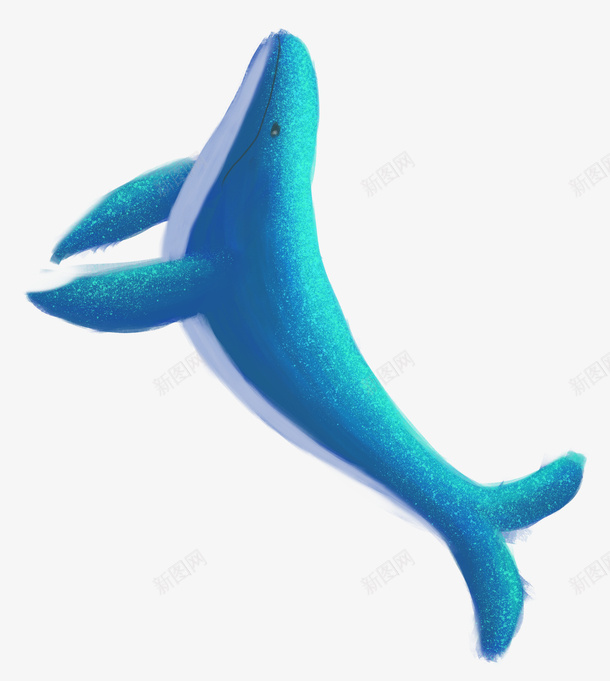 漂亮的蓝色鲸鱼png免抠素材_新图网 https://ixintu.com 鲸鱼 素材 鱼 蓝色鲸鱼 彩色