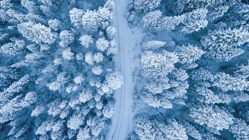 冬天的雪与树jpg设计背景_新图网 https://ixintu.com 冬天 天寒地冻 松 树 雪