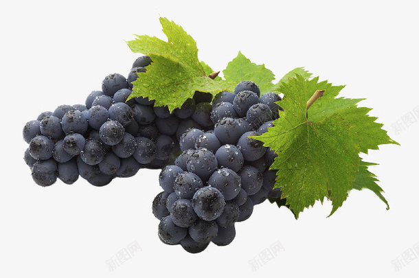 葡萄一堆两串png免抠素材_新图网 https://ixintu.com 葡 萄 堆 串