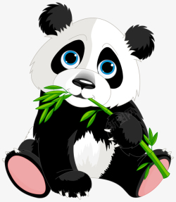 国宝熊猫一只吃竹子的大熊猫高清图片