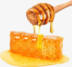 蜂蜜蜂胶元素素材