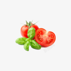 新鲜西红柿番茄阳柿子PNG素材