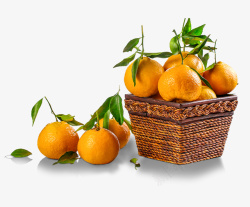 芦柑柑橘橘子芦柑免扣元素高清图片