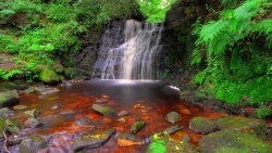英格兰瀑布岩石植物高清图片