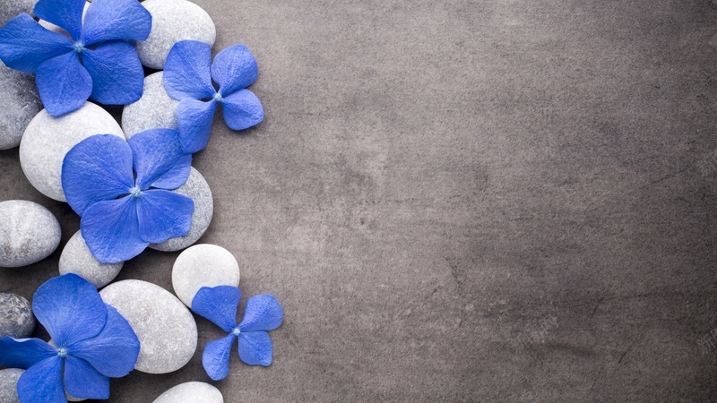 蓝色的花朵石头jpg设计背景_新图网 https://ixintu.com 蓝色 花朵 石头 SPA