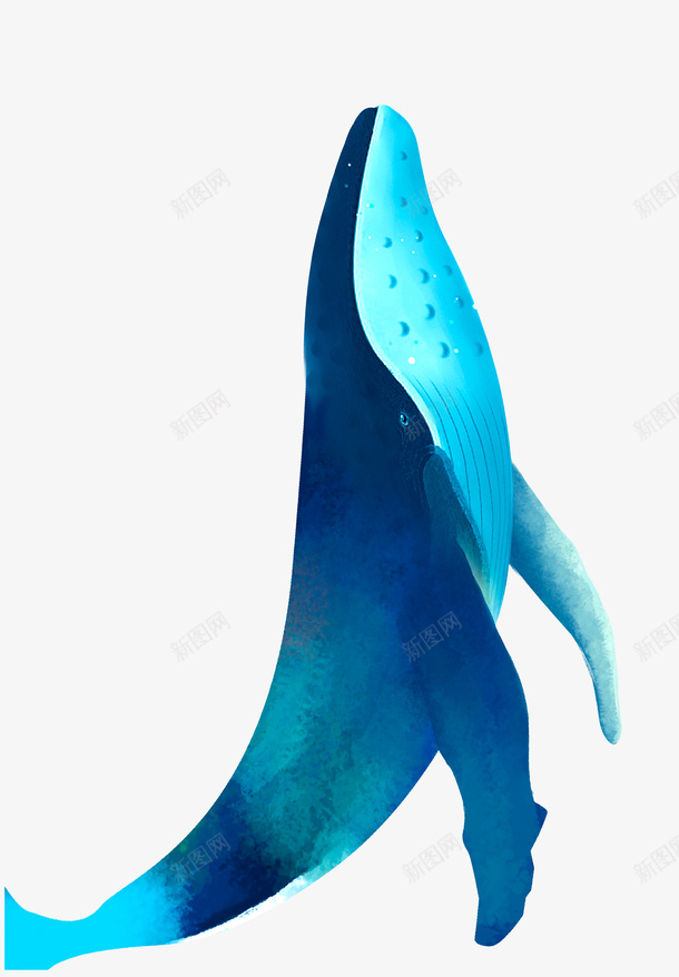 嘴巴朝天的鲸鱼png免抠素材_新图网 https://ixintu.com 鲸鱼 彩色 漂亮的鲸鱼 png