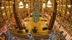 圣诞树灯大圣诞树大厅高清图片