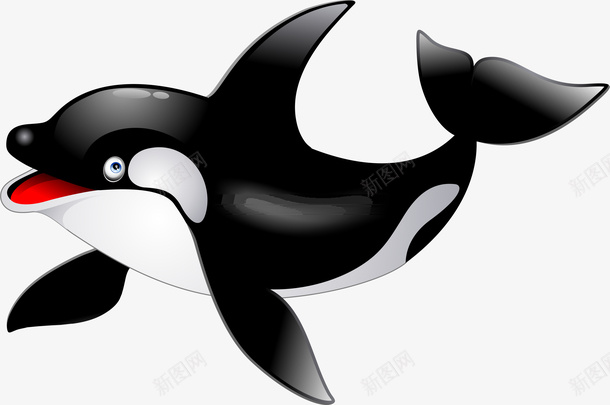 卡通鲸鱼黑色png免抠素材_新图网 https://ixintu.com 鲸鱼 鱼类 png 动物