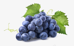 紫色的葡萄图片美味好吃的葡萄高清图片
