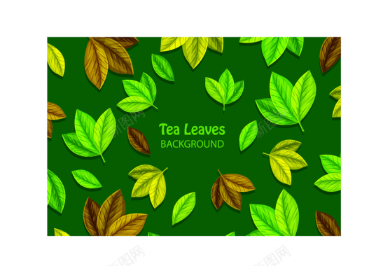 嫩绿色叶子彩色茶树叶子矢量背景