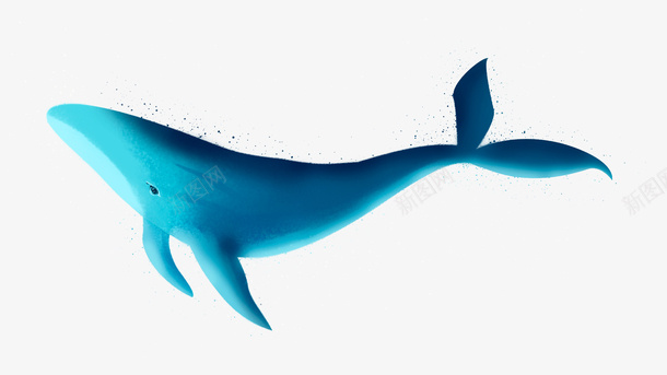 一只游泳的鲸鱼png免抠素材_新图网 https://ixintu.com 鲸鱼 彩色 漂亮的鲸鱼 png
