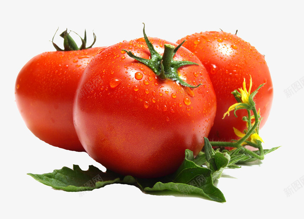 西红柿透明素材png免抠素材_新图网 https://ixintu.com 果蔬 西红柿 透明 果蔬素材