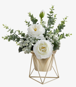 桌面植物桌面花装饰花高清图片