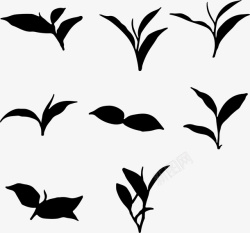茶叶树叶茶叶抠图元素高清图片