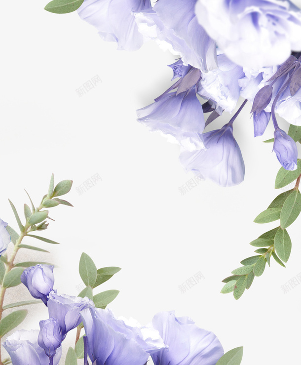 紫色鲜花树叶花卉png免抠素材_新图网 https://ixintu.com 紫色 鲜花 树叶 花卉