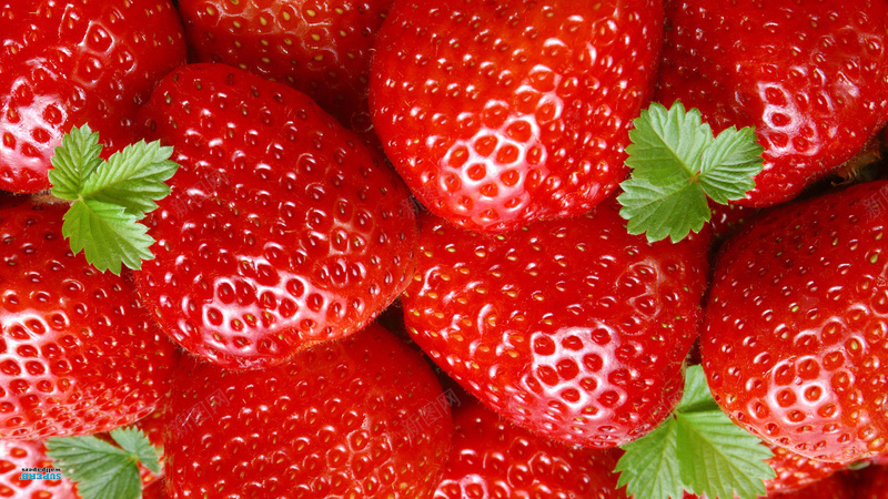 水果草莓高清图素jpg设计背景_新图网 https://ixintu.com 拍摄 高清 高质量 自然
