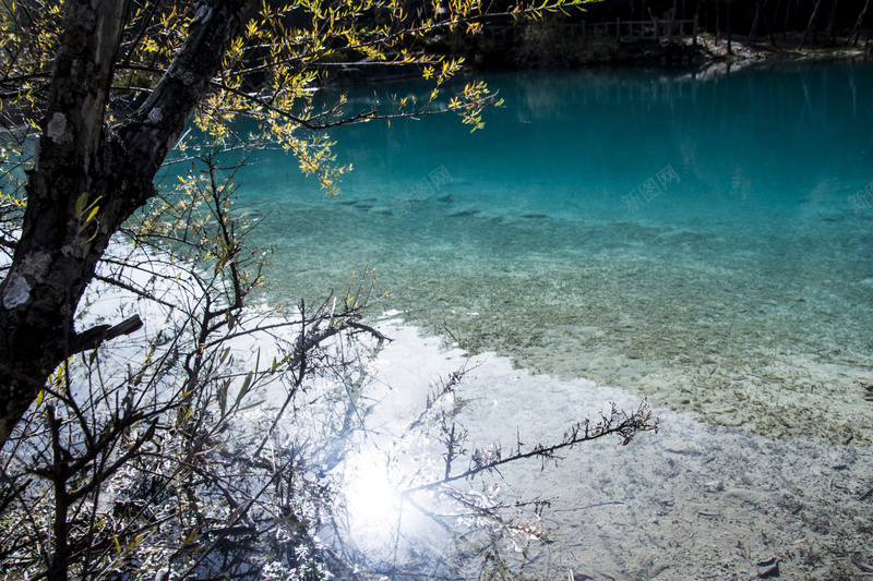 拍摄的风景照片水河清凉清澈jpg设计背景_新图网 https://ixintu.com 水 清澈 河 湖 清凉 风景