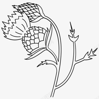 奶蓟植物图标