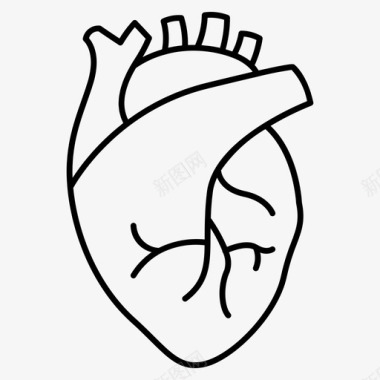 心脏器官解剖学主动脉图标