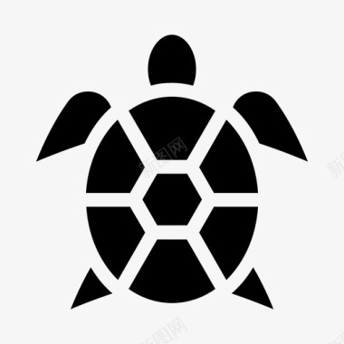 海龟动物水族馆图标