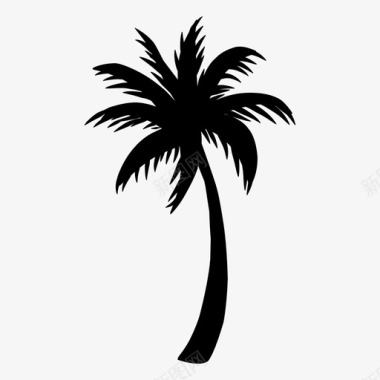 棕榈树海滩夏天图标