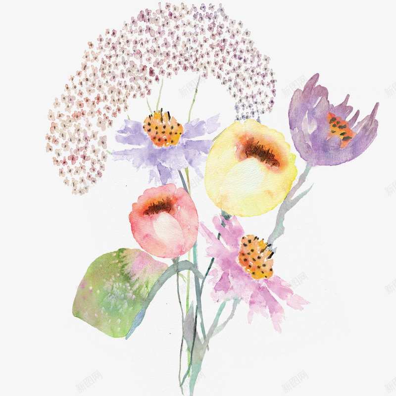 11FreeWatercolorFlowerspng免抠素材_新图网 https://ixintu.com 
