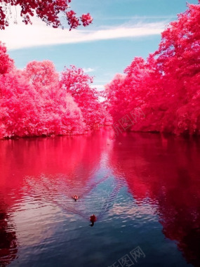 西弗吉尼亚州美丽的樱桃河背景背景