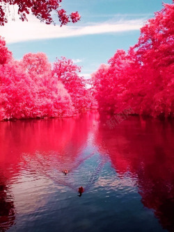 弗吉尼亚州西弗吉尼亚州美丽的樱桃河背景高清图片