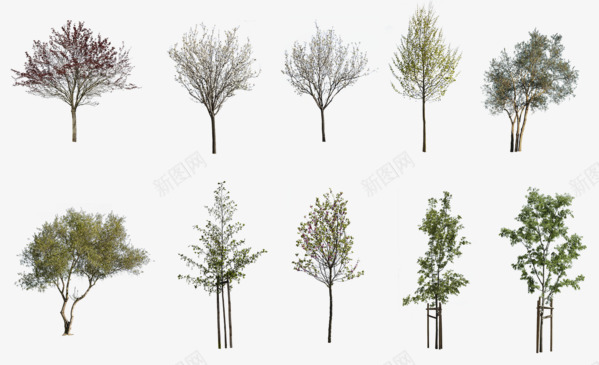 28 DIVERSE TREES PACK   cutout trees植物素材png免抠素材_新图网 https://ixintu.com 植物 素材