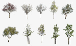 28 DIVERSE TREES PACK   cutout trees植物素材素材