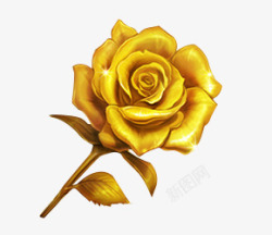 金色玫瑰 金色背景素材素材