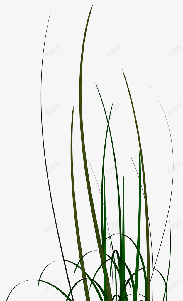 39植物PNGpng免抠素材_新图网 https://ixintu.com 植物