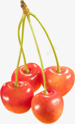 Cherry 车厘子 樱桃 免扣透明png果蔬素材素材