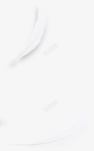 羽毛sucaipng免抠素材_新图网 https://ixintu.com 羽毛