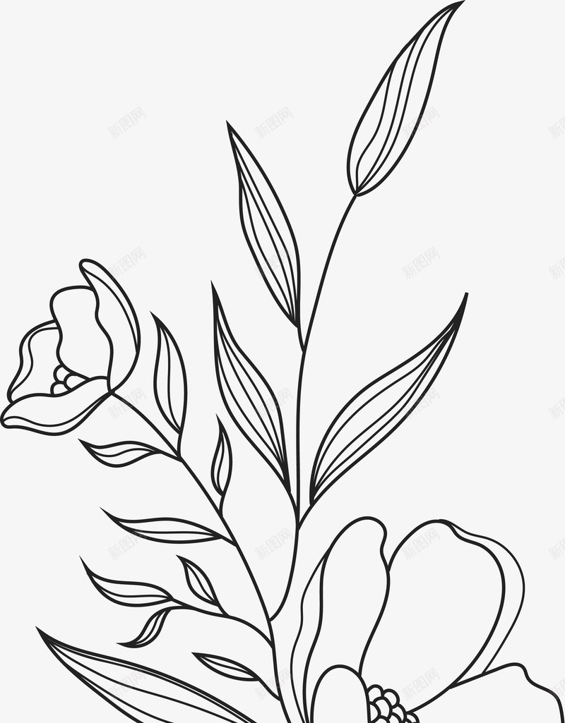 Botanical Illustration Bundle素材png免抠素材_新图网 https://ixintu.com 素材