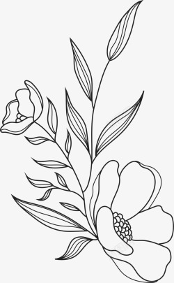 Botanical Illustration Bundle素材素材