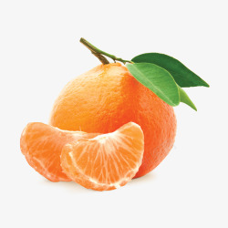 mandarin45植物花卉素材