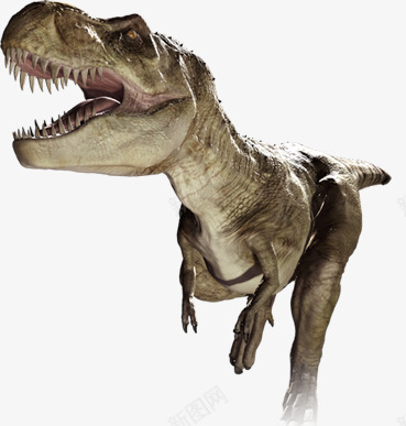 Dinosaur 落地页素材png免抠素材_新图网 https://ixintu.com 落地 素材