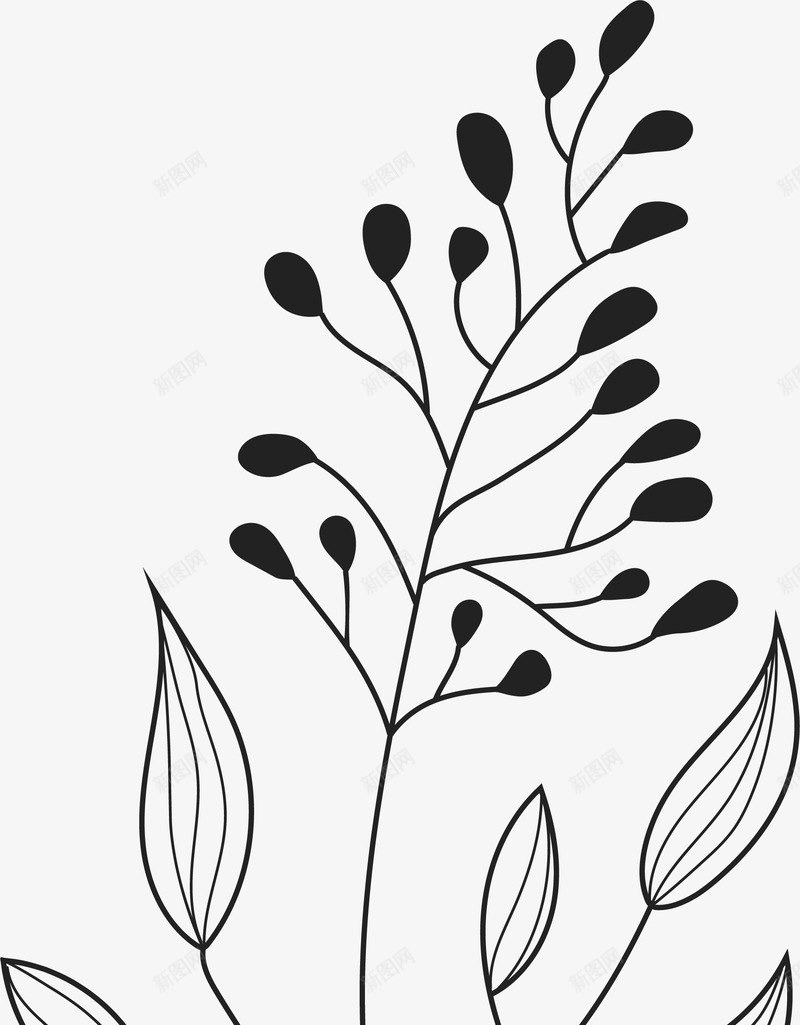 Botanical Illustration Bundle素材pngpng免抠素材_新图网 https://ixintu.com 素材